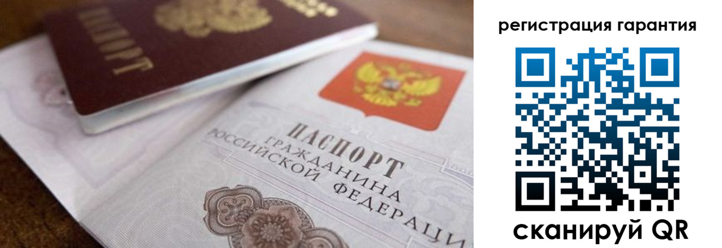 прописка штамп в Гвардейске
